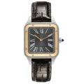 Dumont W2SA0015